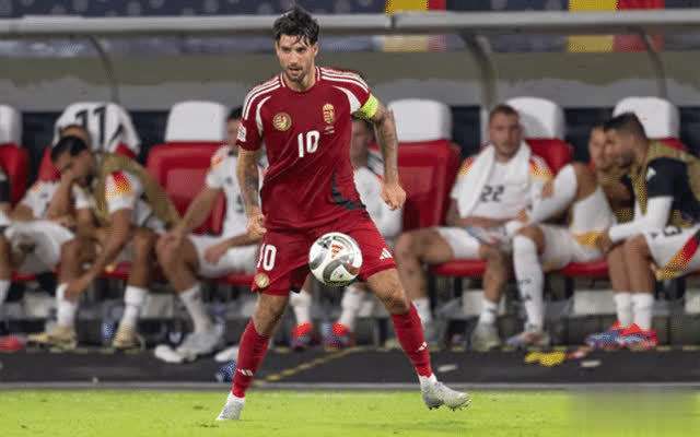 踢丢点球太心塞，匈牙利遗憾失分